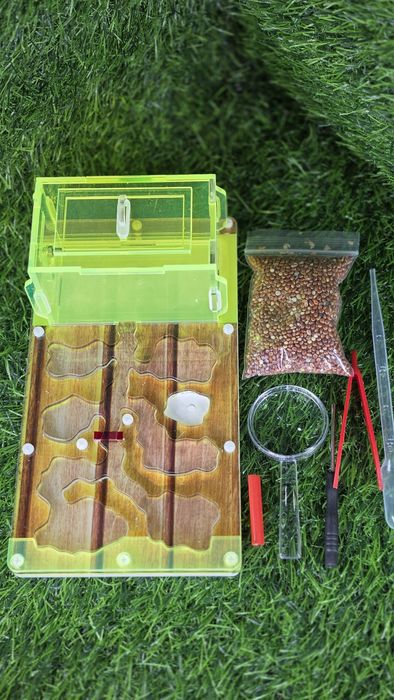 Муравьиная ферма! АЛМАТЫ