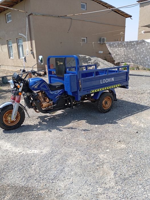Matasikil bortli