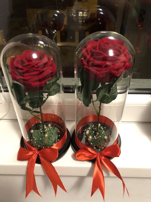 Trandafir criogenat rosu  in cupola