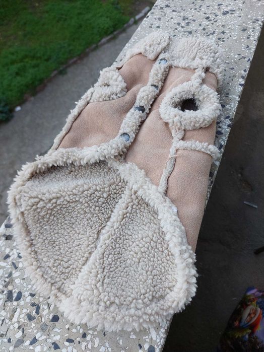 Дрех а за дребна порода куче