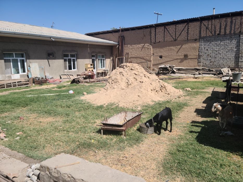 Yer sotiladi , Turkiston , 1 sotikdan 6 sotikgacha