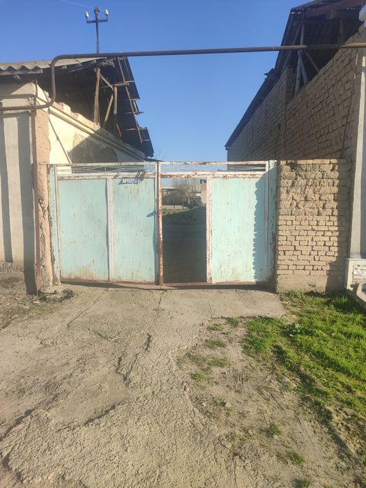 Yangi hayot yer sotiladi 10.000$