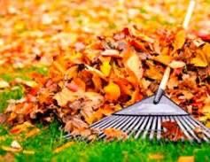 Уборка территорий