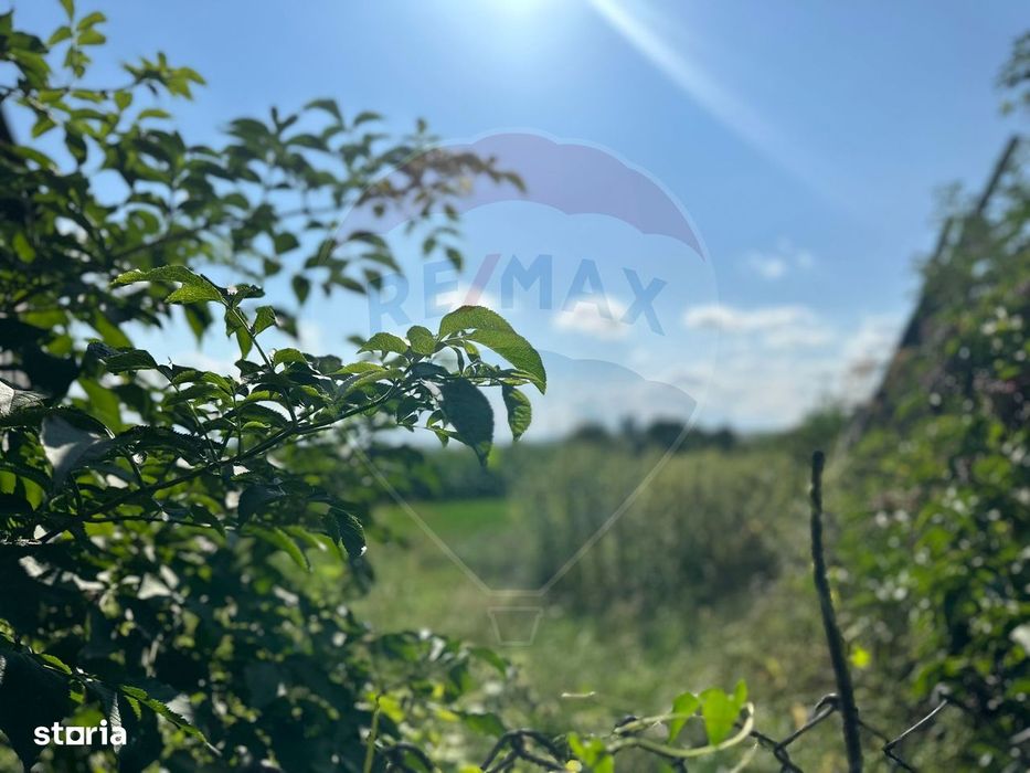 Teren intravilan 3.765 mp cu casă – Bodești de Jos