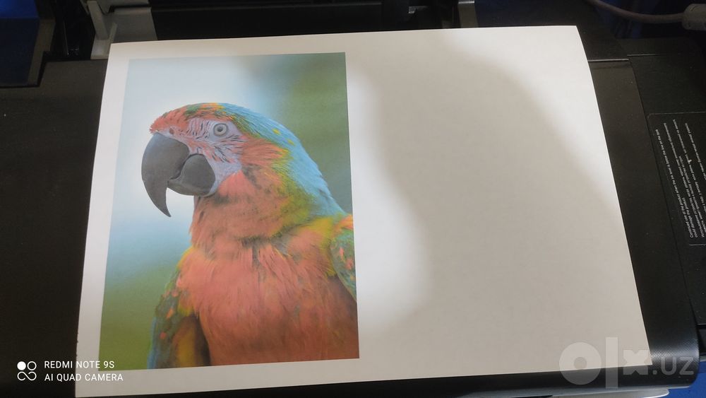 Epson L805 рангли принтер