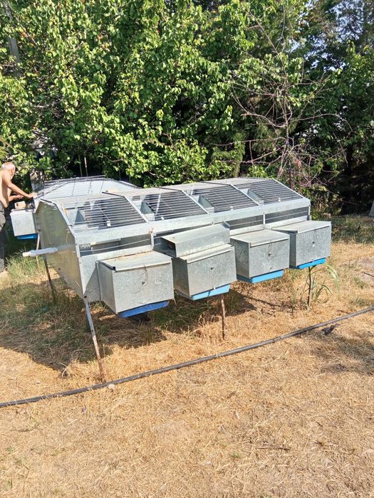 quyoning uyi sotiladi 2 ta dina  narxi 5 mln. manzil toshkent