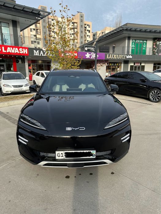 Byd chempion 2024 yil