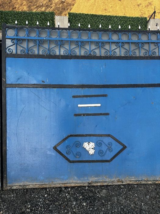 Porta acces auto si poarta pietonala