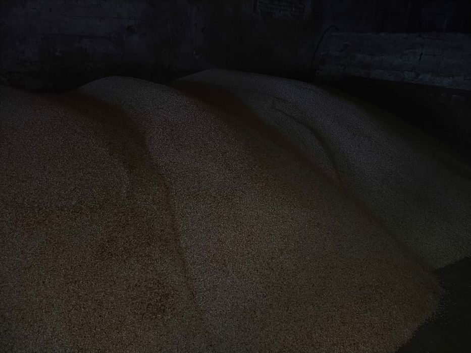 Сафлор урожай 2025года