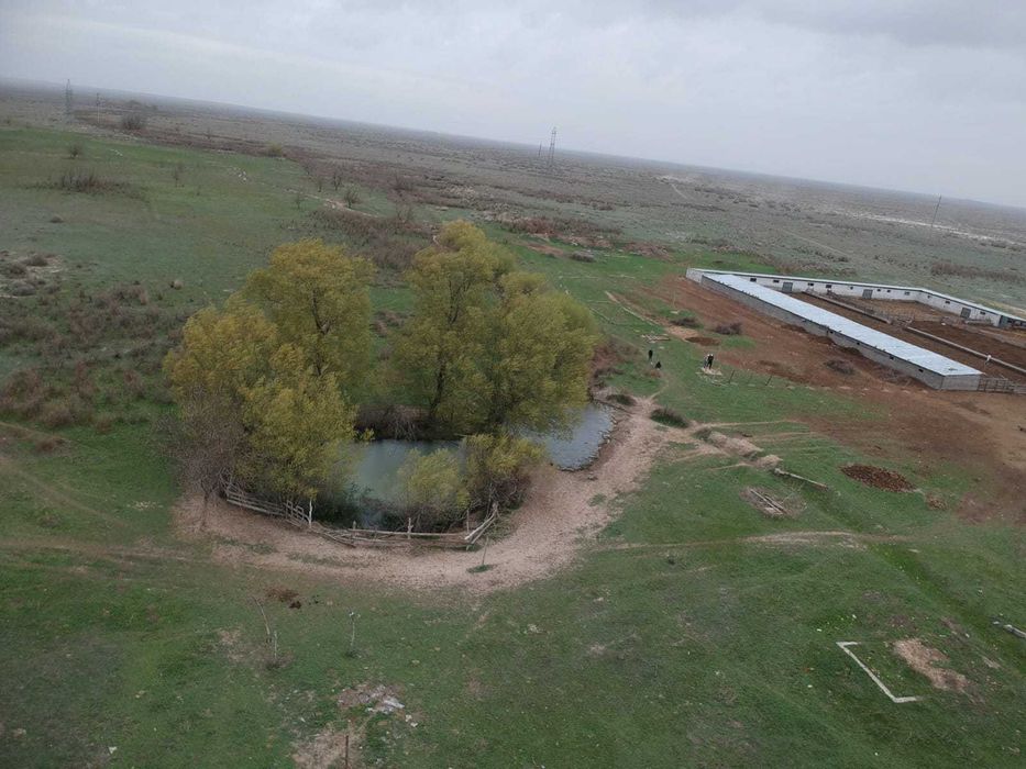 Земельный участок