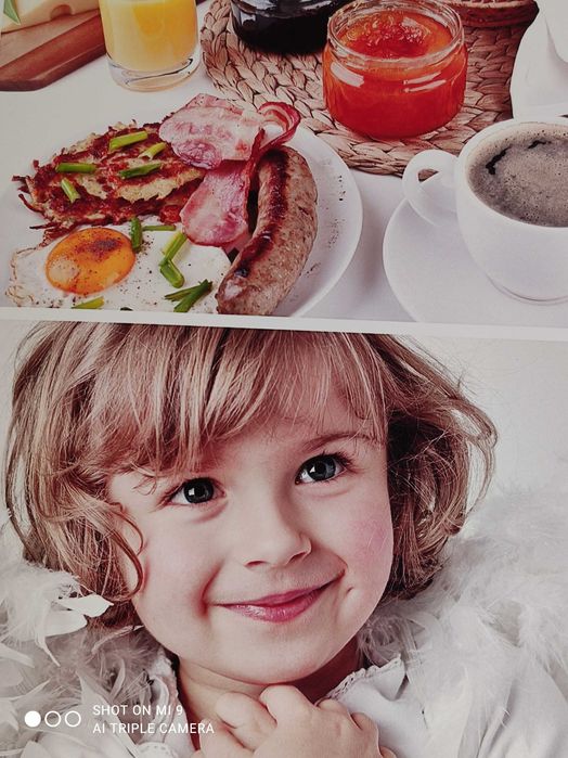 Фото МФУ  Epson L8180  формат А3+