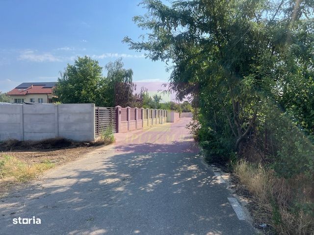 Teren Clinceni- Putul Olteni- Crizantemelor.
