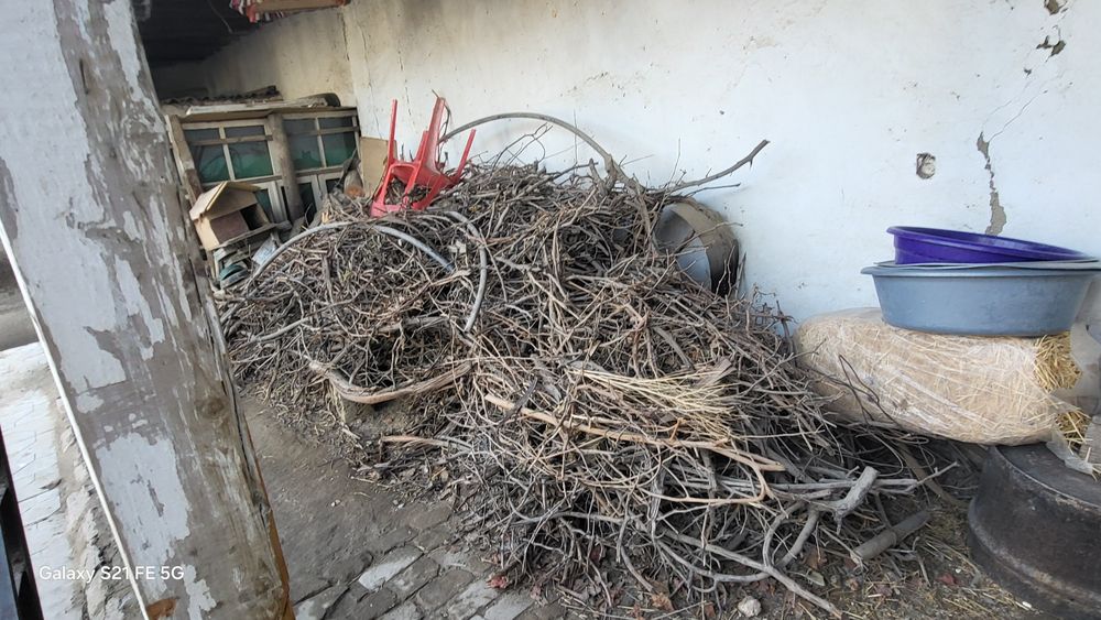 Хезум ,утин, дрова,  мевали утн, утн, сотилади, продаются