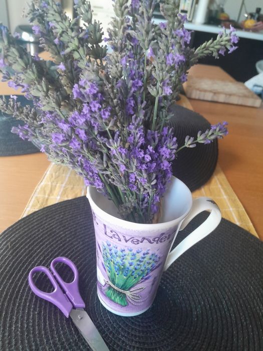 Суха лавандула 10 и 20гр.