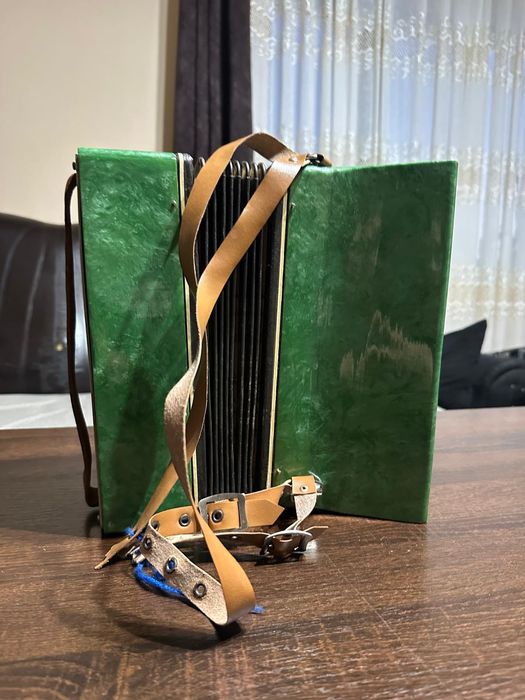 Acordeon  mic pentru copii