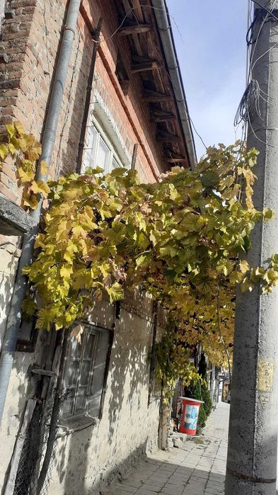 Продавам къща в село Брезница, общ Гоце Делчев