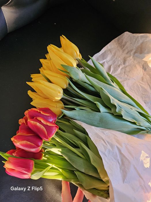 Тюльпаны шикарные  большие предзаказ