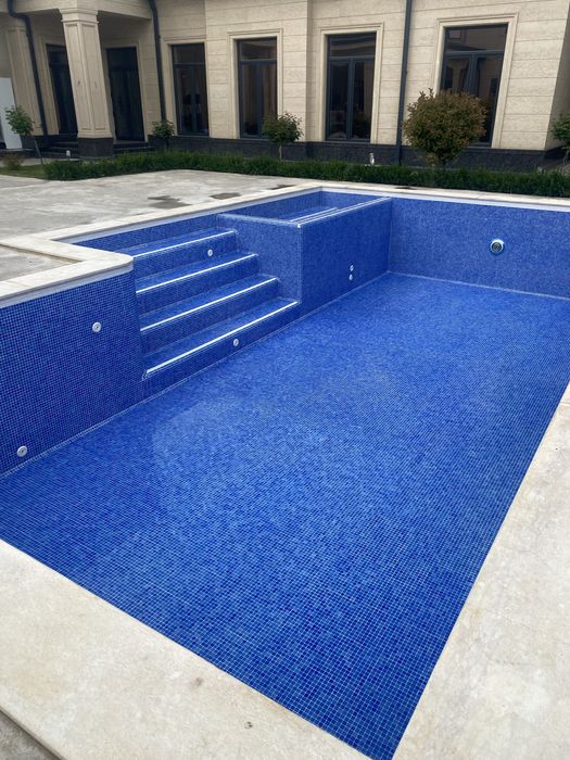 Профессиональное обслуживание бассейна ,чистка , подготовка к запуску.