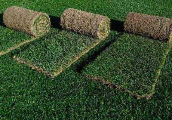 Gazon Rulou, Sisteme de irigare