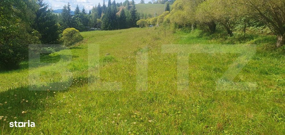 Teren intravilan, 7.362 mp, zona  Vatra Dornei