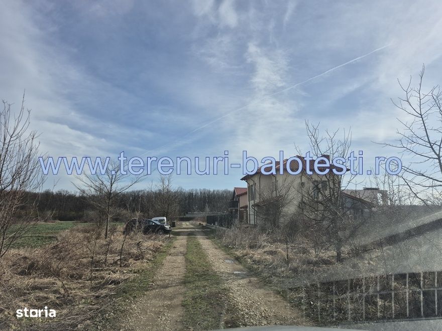 Teren cu gaz si electrica-hotar, 28000 E, padure