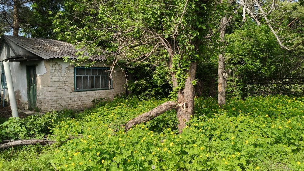 Продам дачу район келешек