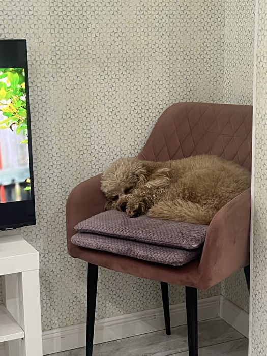 Продам одежду всё за 7000