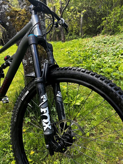 Specialized Status 160 enduro mullet