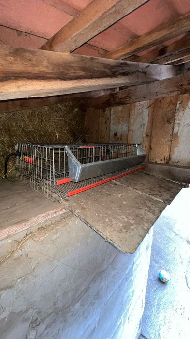 Cuști de prepelițe