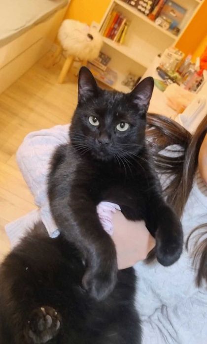 1-годишно момченце от Враца търси ДОМ