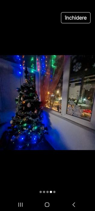 Vând brad Crăciun arată impecabil