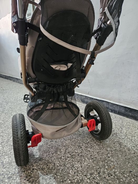 Триколка Chippolino Bolid