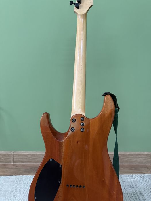 Schecter c6 pro