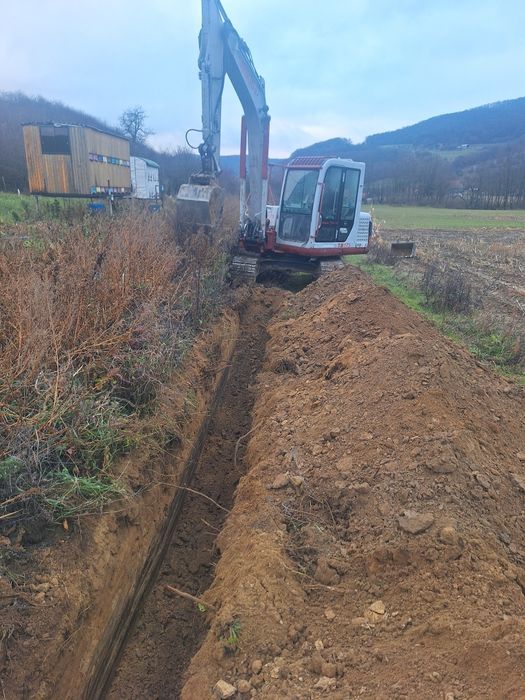 Curatam Defrisam terenuri si pasuni împădurite