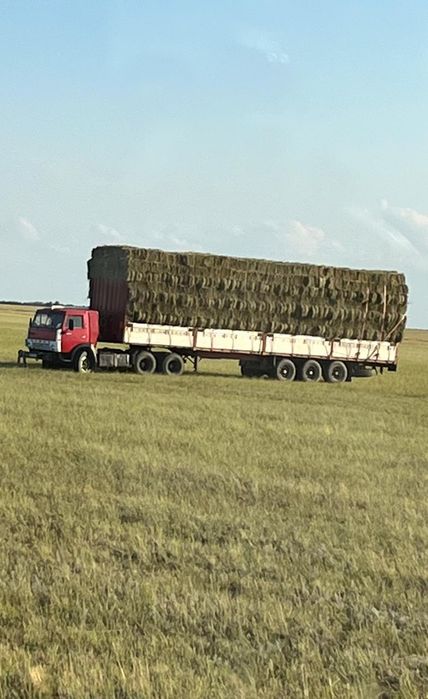 У.с.л.у.г.и. Ка.ма.за дли.но.ме.ра.. Город-Межгород