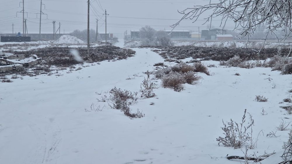 Участок 50 соток