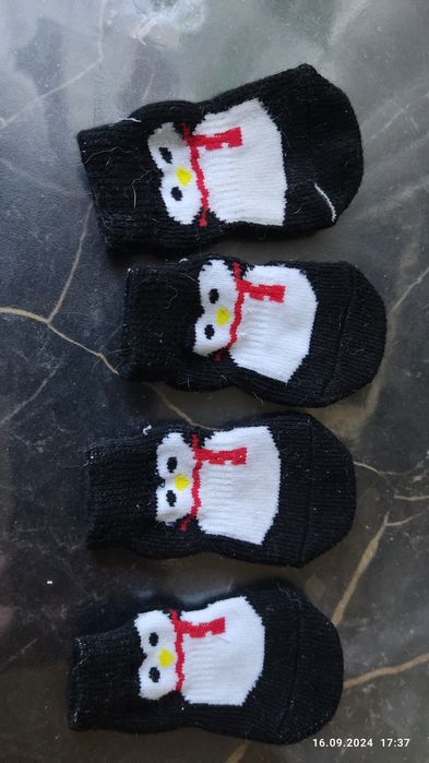 Носочки для собаки