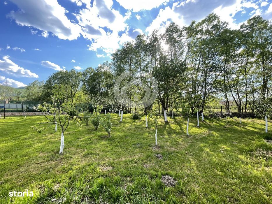 Vanzare Casa Individuala | 1000 Mp Teren | Tocile, Sibiu