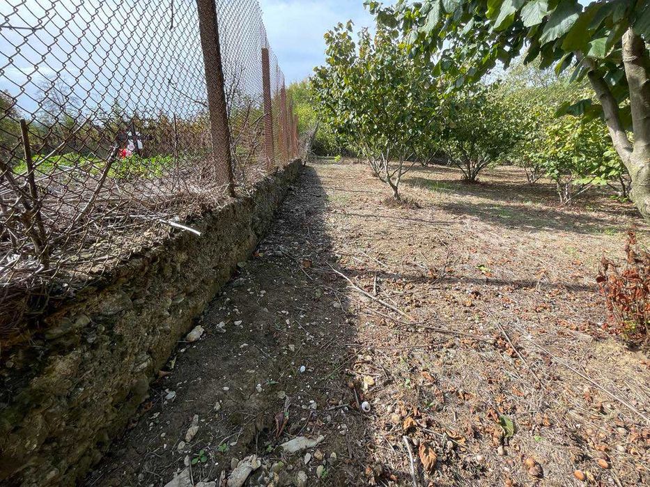 Продава се Земеделски имот в с. Драгоево, Област Шумен -  кв.м за 8 €/дка - Снимка #7