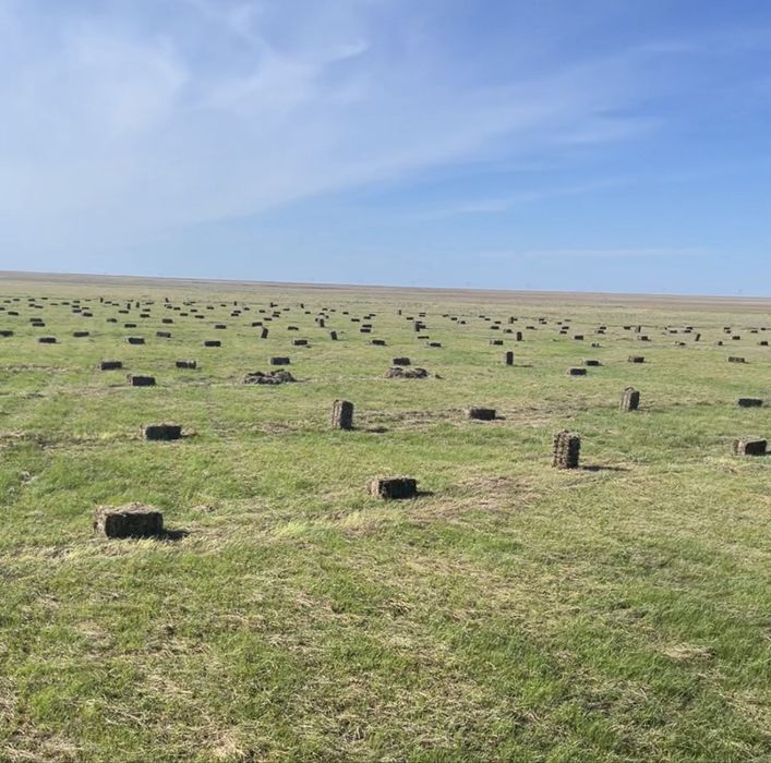 Продам сено в тюках