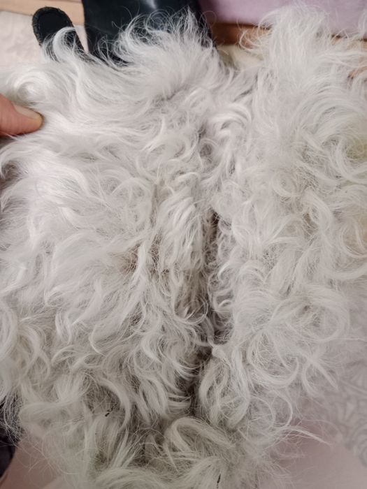 Burberry оригинал