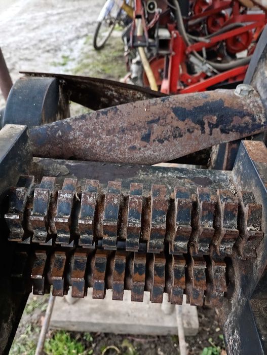 Șișcorniță furaje animale