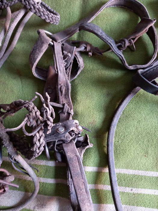 Конские сбруий-  Недоуздки