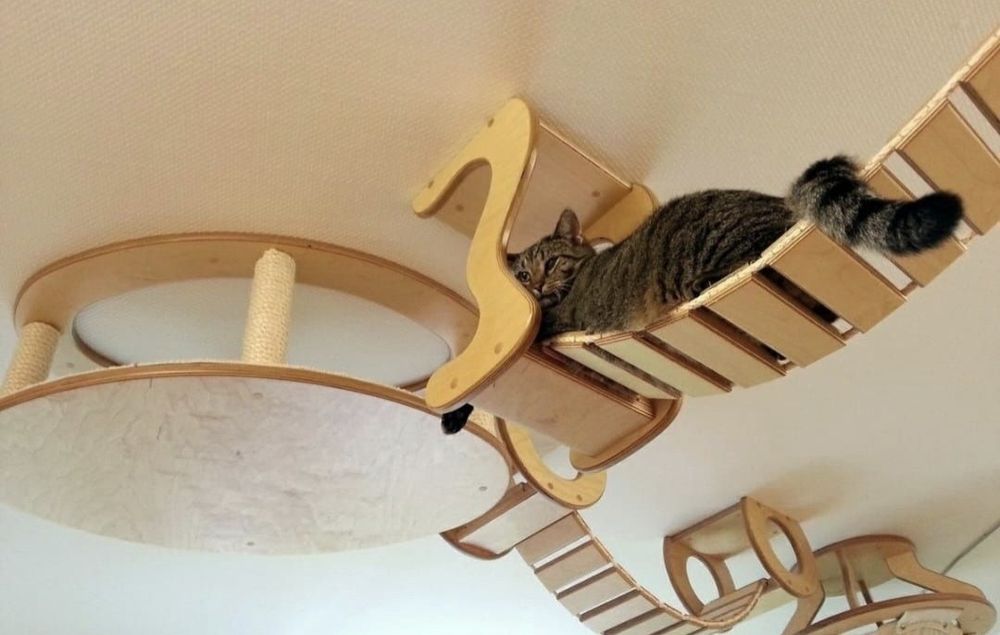 Кошечка Маргошечка с доставкой!