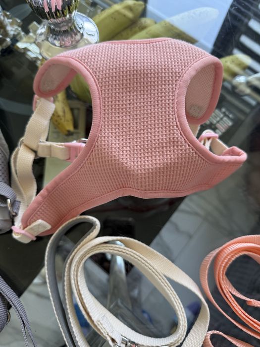 Нова дреха дъждобран за куче нагръдници, каишки