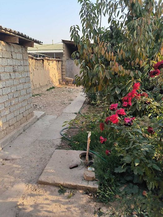 Sotiladi 2.36 sotix (236 m2) xovli Burata, Qibray, Kibray. 1 liniya.