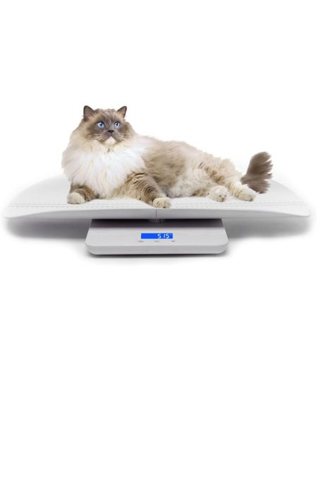 Cantar pentru animale/bebelusi/adulti pana in 100kg