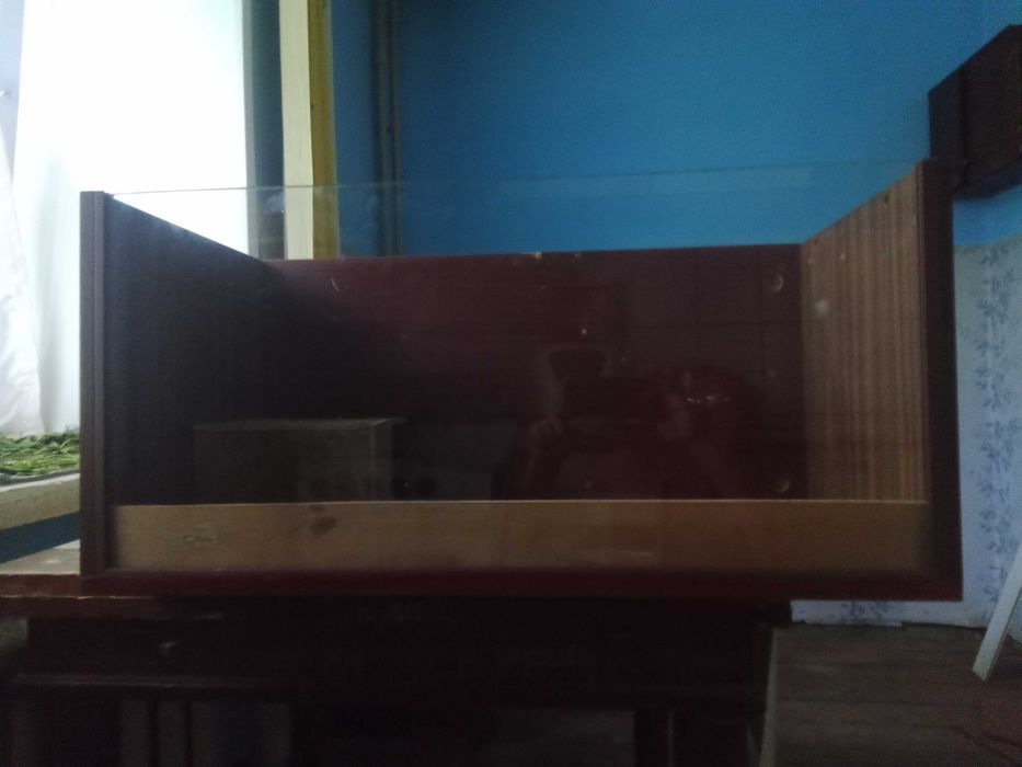 Террариум для рептилий