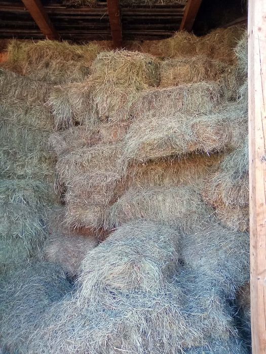 Vând baloti de lucernā, otavā sí fân 20