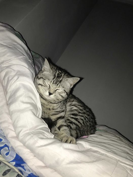 Срочно город Тараз